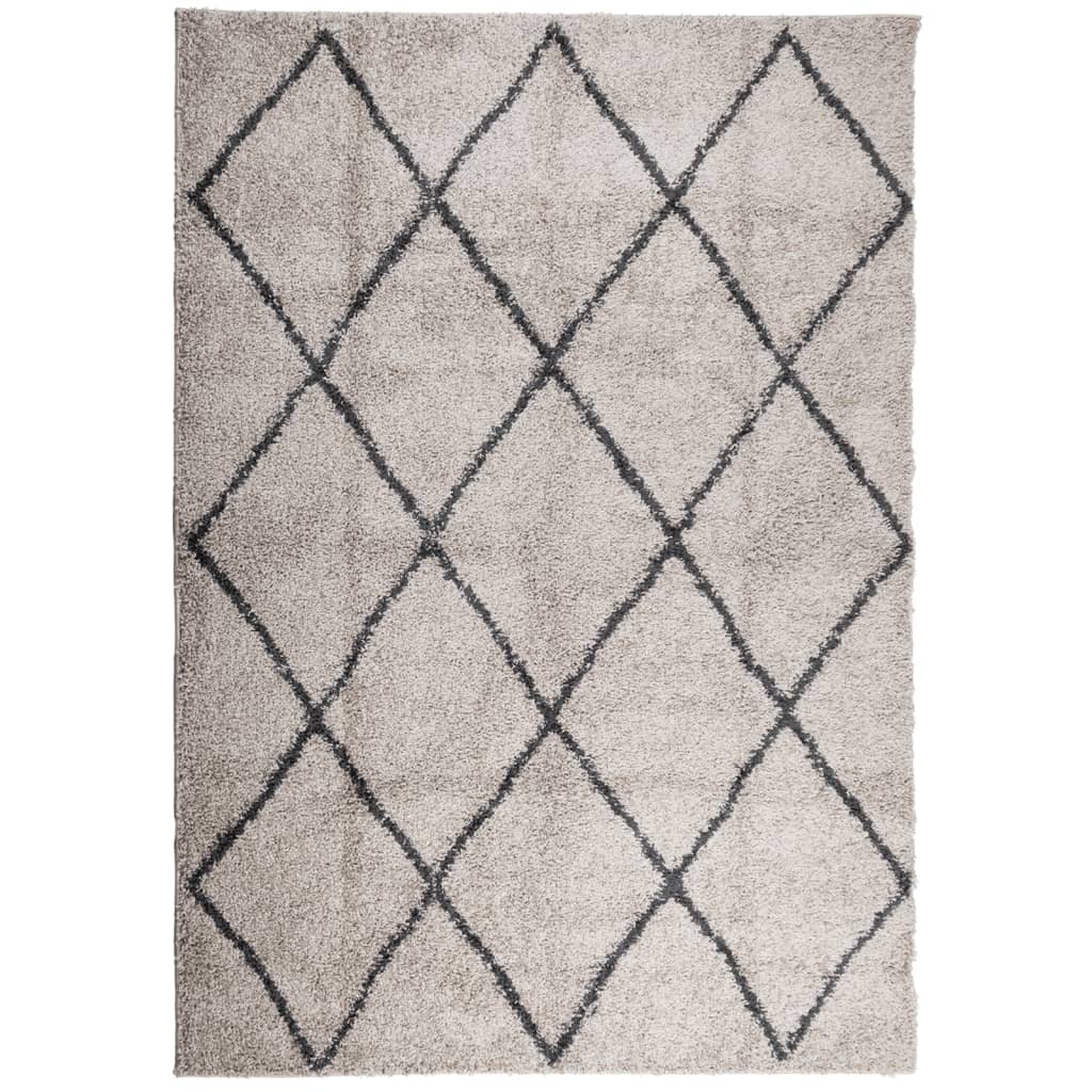 Carpet Shaggy Deep Pile Modern Beige and Anthracite 120x170 cm
