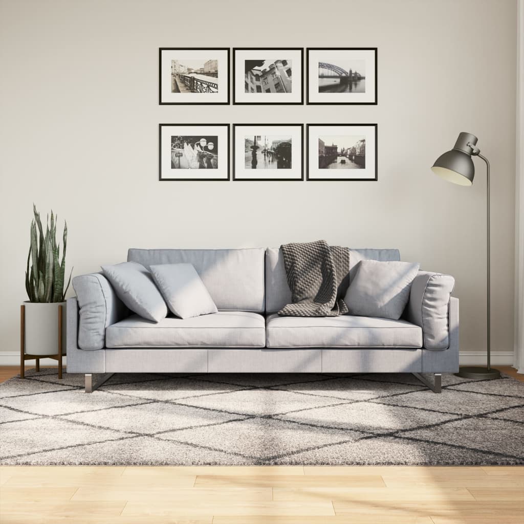 Carpet Shaggy Deep Pile Modern Beige and Anthracite 160x230 cm