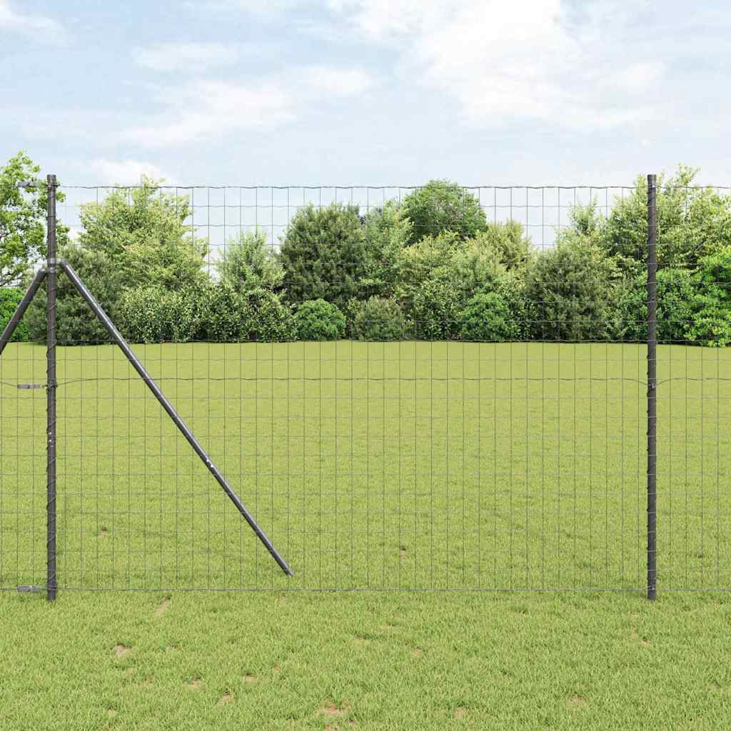 Eurozaun Schwarz 1.6 x 10 m PVC-beschichtetes Eisen