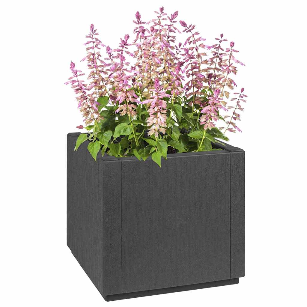 Gartenblumentopf Anthrazit 36 x 36 x 35 cm Polypropylen