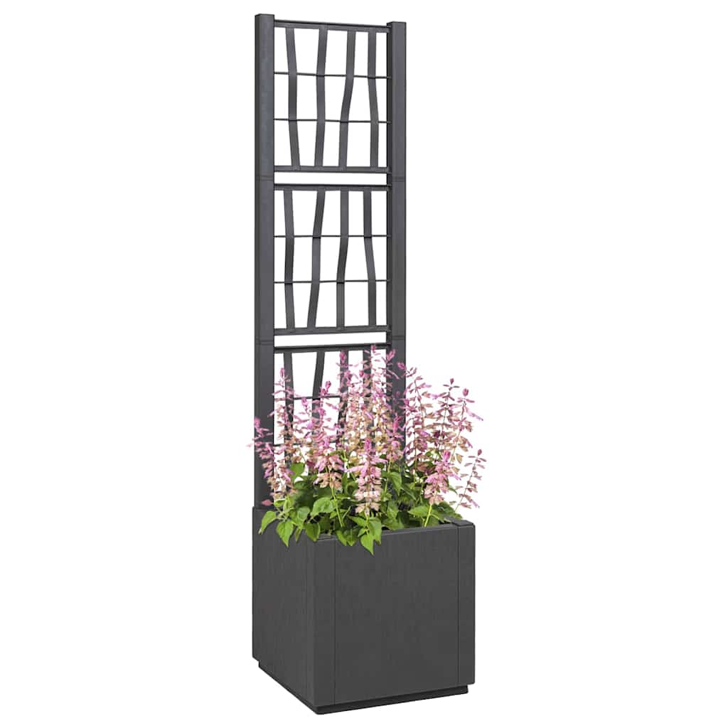 Gartenblumentopf Anthrazit 36 x 36 x 140 cm Polypropylen