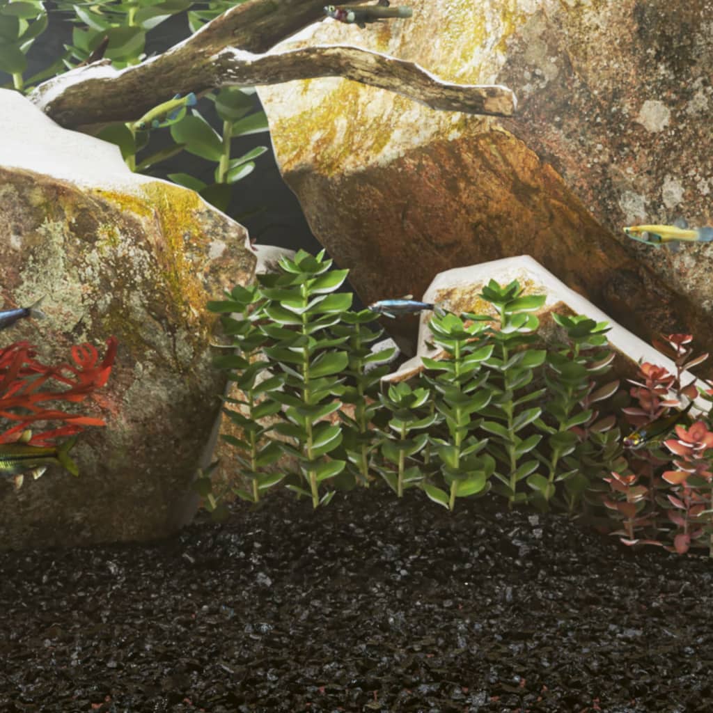 Natürlicher Bodengrund für gesunde Aquarien – Perfekt für Fische und Pflanzen