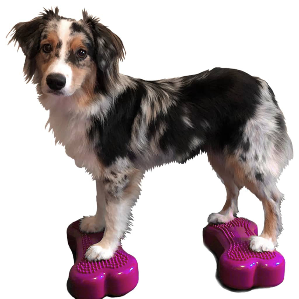Agility-Ausrüstung