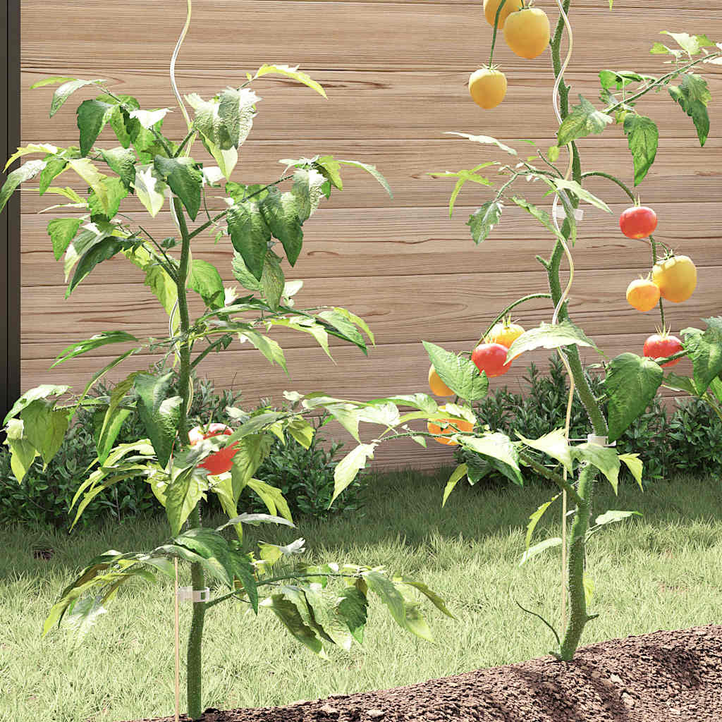 Tomaten-Spiralstäbe 50 Stk. 110 cm Verzinkter Stahl