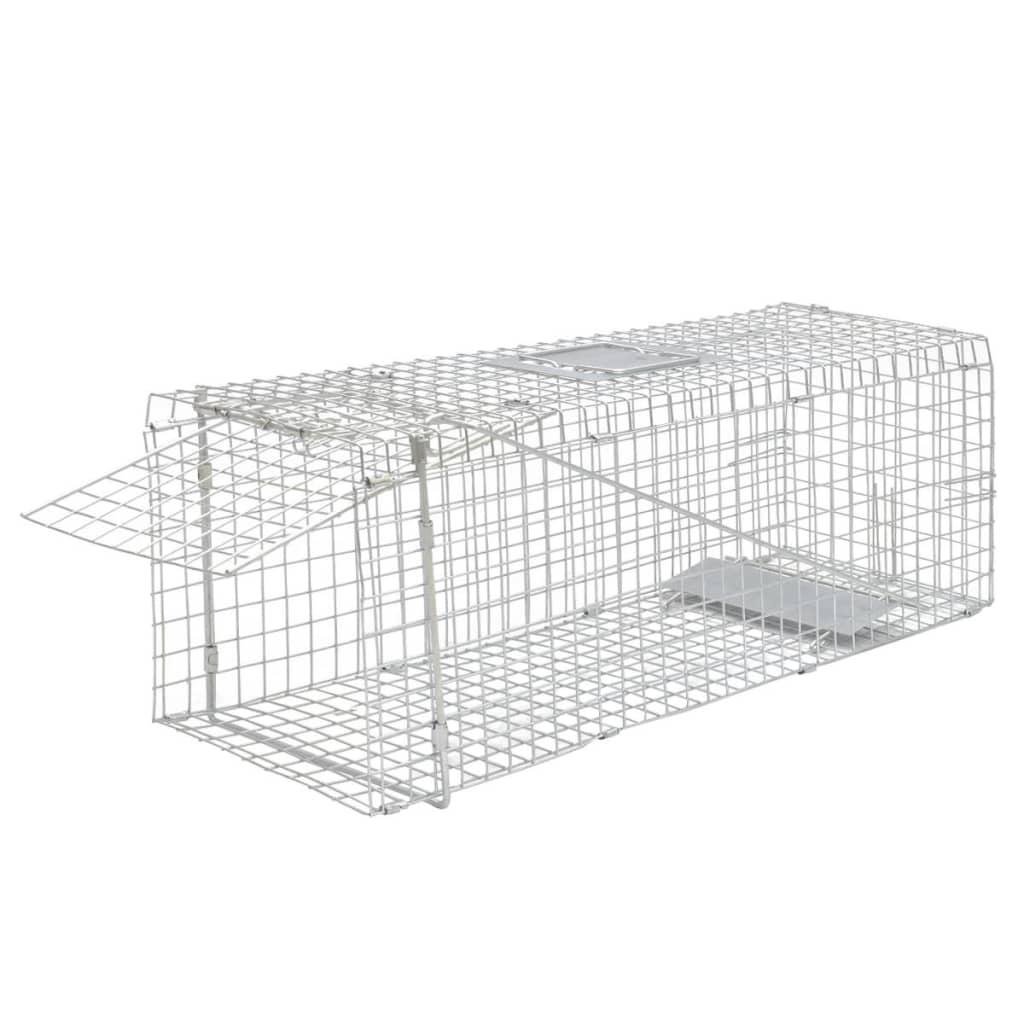 Outdoor-Aktivitäten