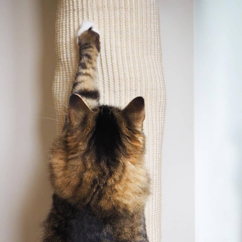 Climbing bag for cats sisal 180 cm