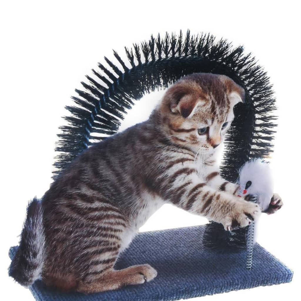 cat toys for grooming