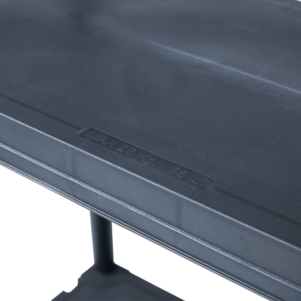 Lagerregale 2 Stk. Schwarz 125 kg 60 x 30 x 180 cm Kunststoff