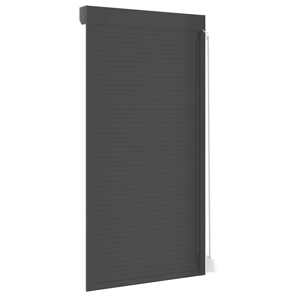 Rollladen Aluminium 110x220 cm Anthrazit