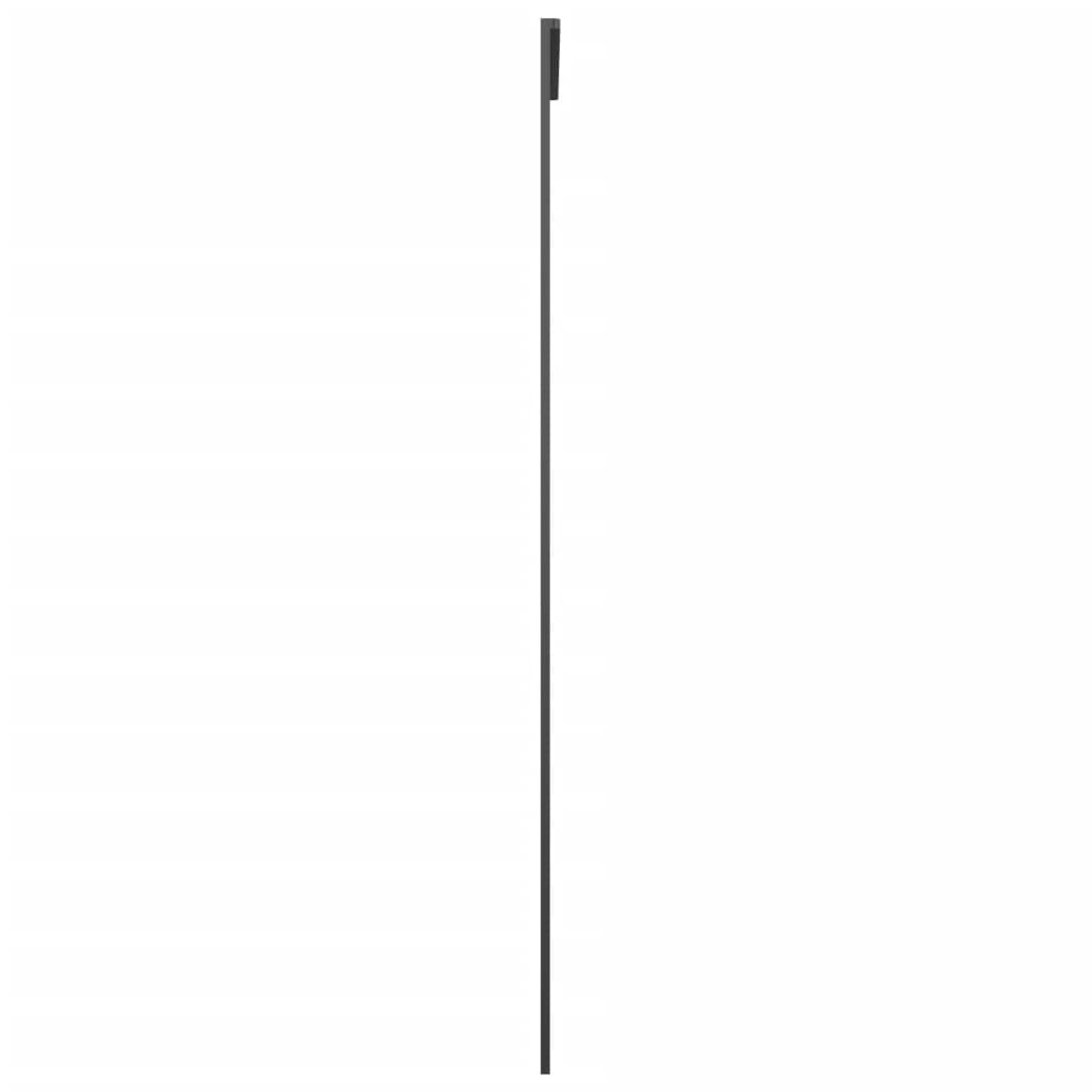 Schiebetür Aluminium und ESG Glas 76x205 cm Schwarz