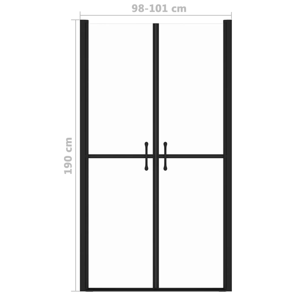 Shower door clear ESG (98-101)x190 cm