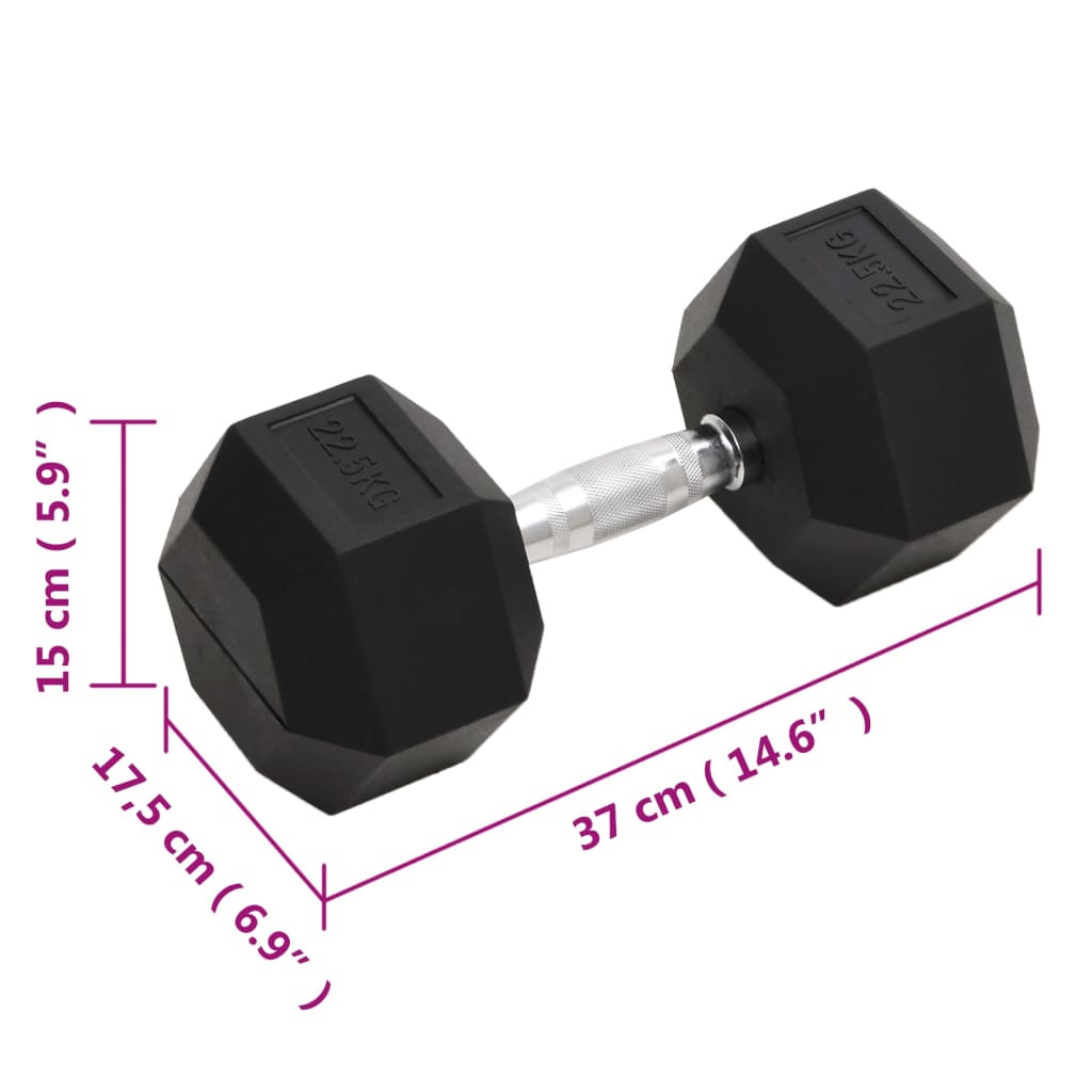 Dumbbell 22.5 kg cast iron