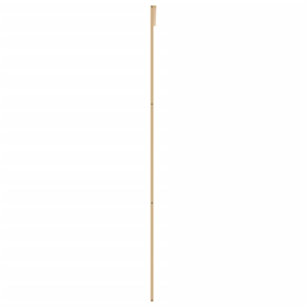 Schiebetür Golden 102,5x205 cm ESG-Klarglas und Aluminium