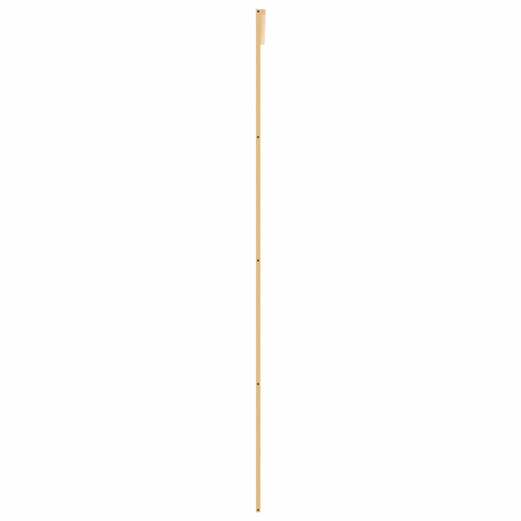 Schiebetür Golden 76x205 cm ESG-Klarglas und Aluminium