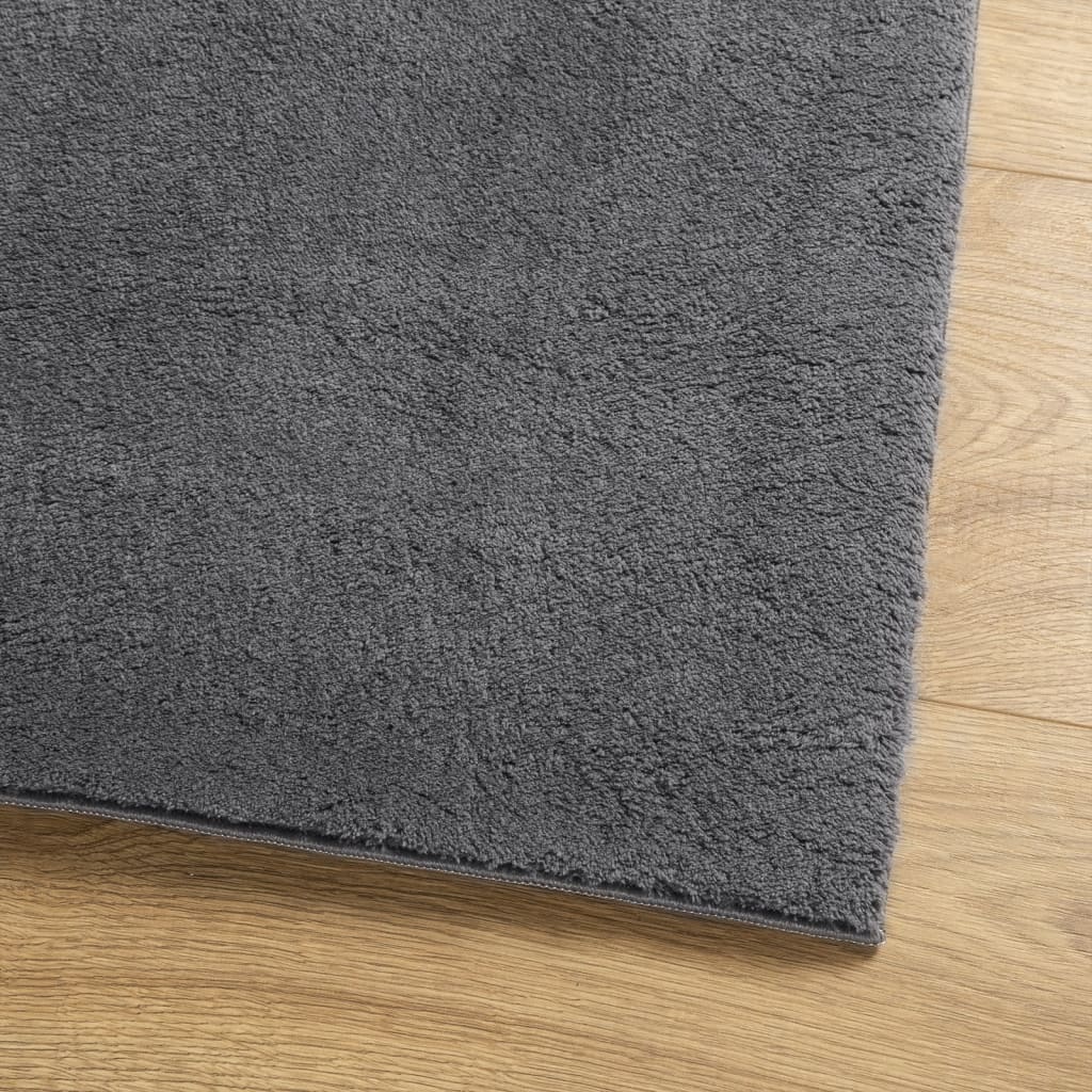 Teppich HUARTE Kurzflor Weich und Waschbar Anthrazit 140x200 cm