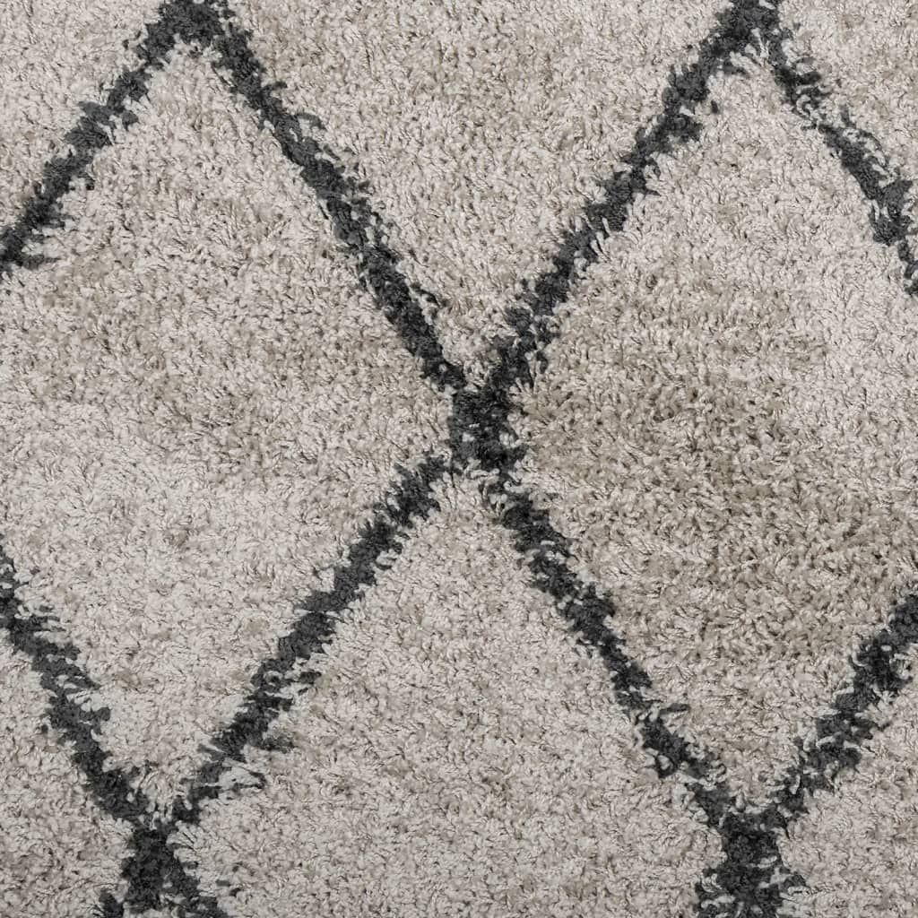 Carpet Shaggy Deep Pile Modern Beige and Anthracite 80x150 cm