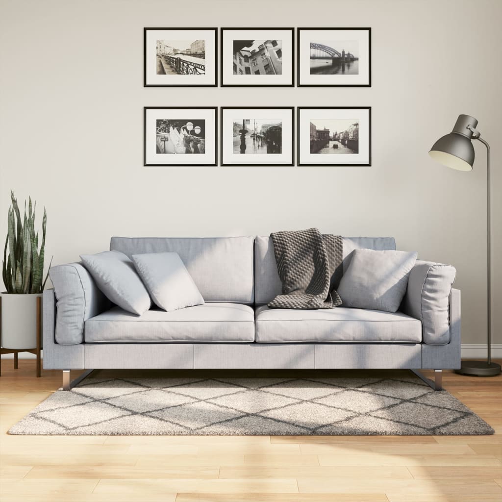 Carpet Shaggy Deep Pile Modern Beige and Anthracite 80x150 cm