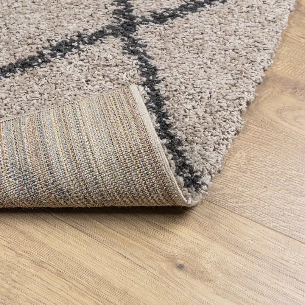 Carpet Shaggy Deep Pile Modern Beige and Anthracite 120x170 cm