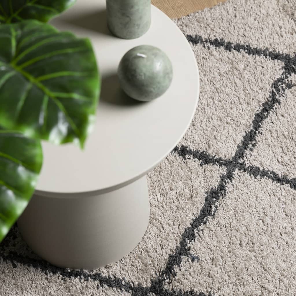 Carpet Shaggy Deep Pile Modern Beige and Anthracite 120x170 cm