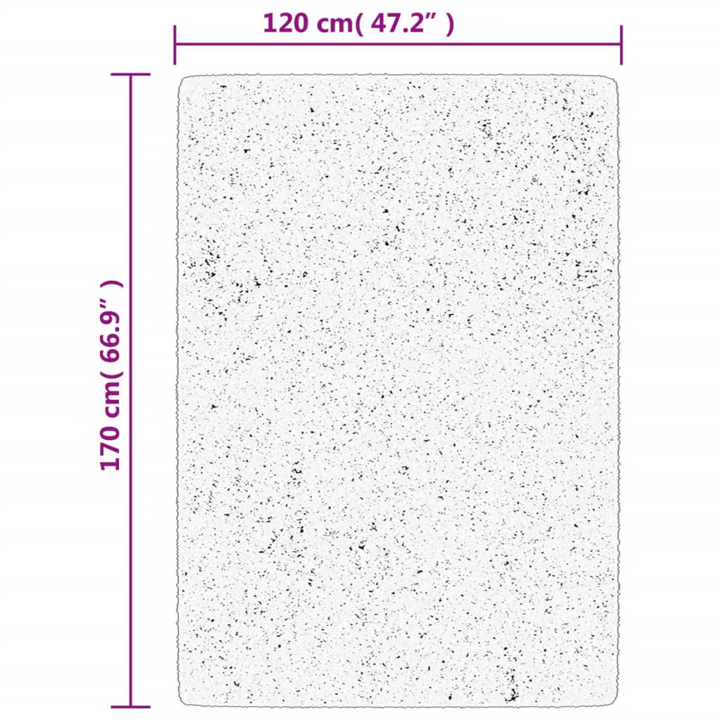 Carpet Shaggy Deep Pile Modern Beige and Anthracite 120x170 cm