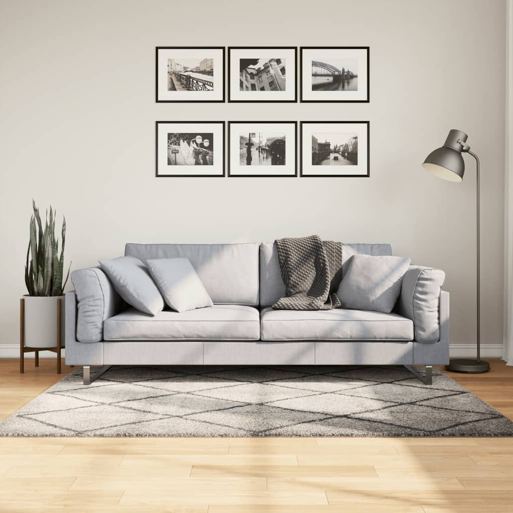 Carpet Shaggy Deep Pile Modern Beige and Anthracite 120x170 cm