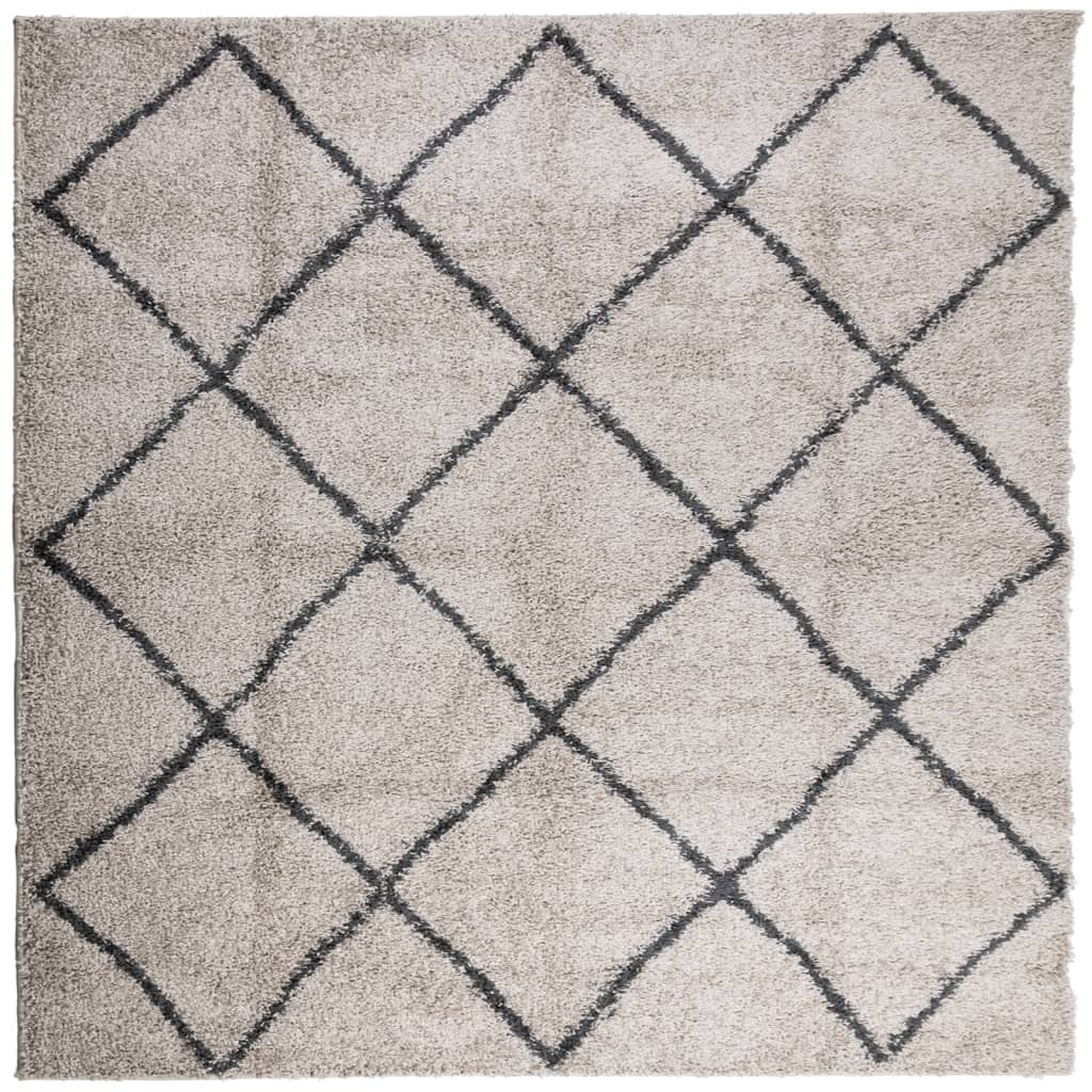 Carpet Shaggy Deep Pile Modern Beige and Anthracite 160x160 cm