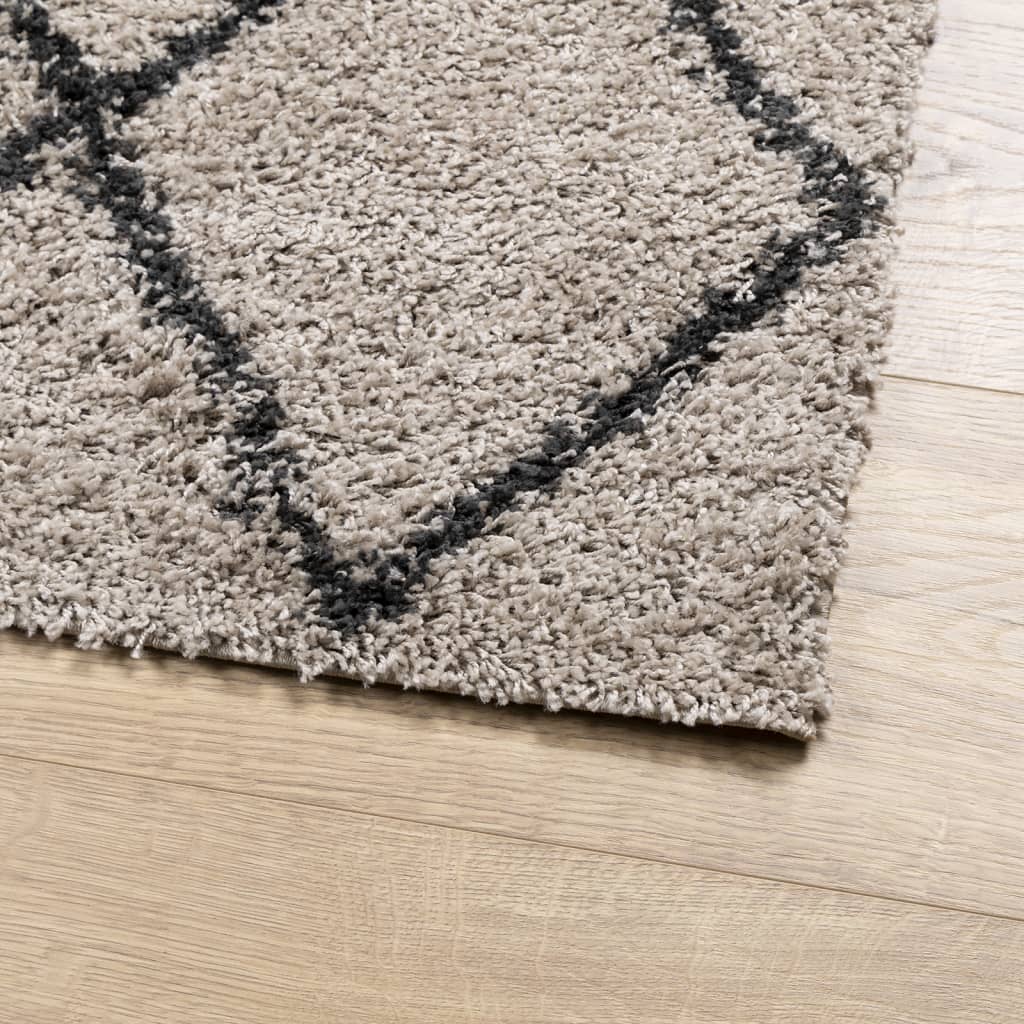 Carpet Shaggy Deep Pile Modern Beige and Anthracite 160x160 cm
