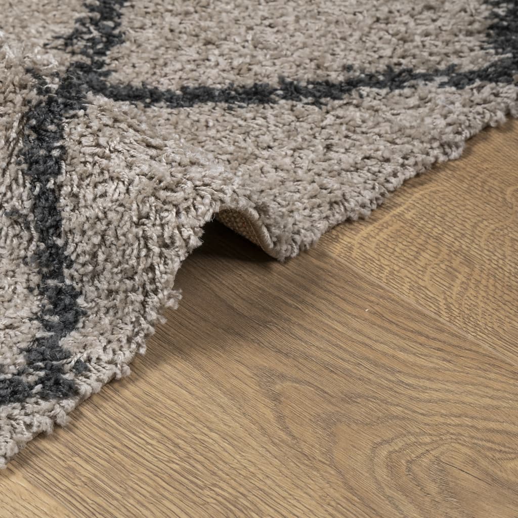 Carpet Shaggy Deep Pile Modern Beige and Anthracite 160x160 cm