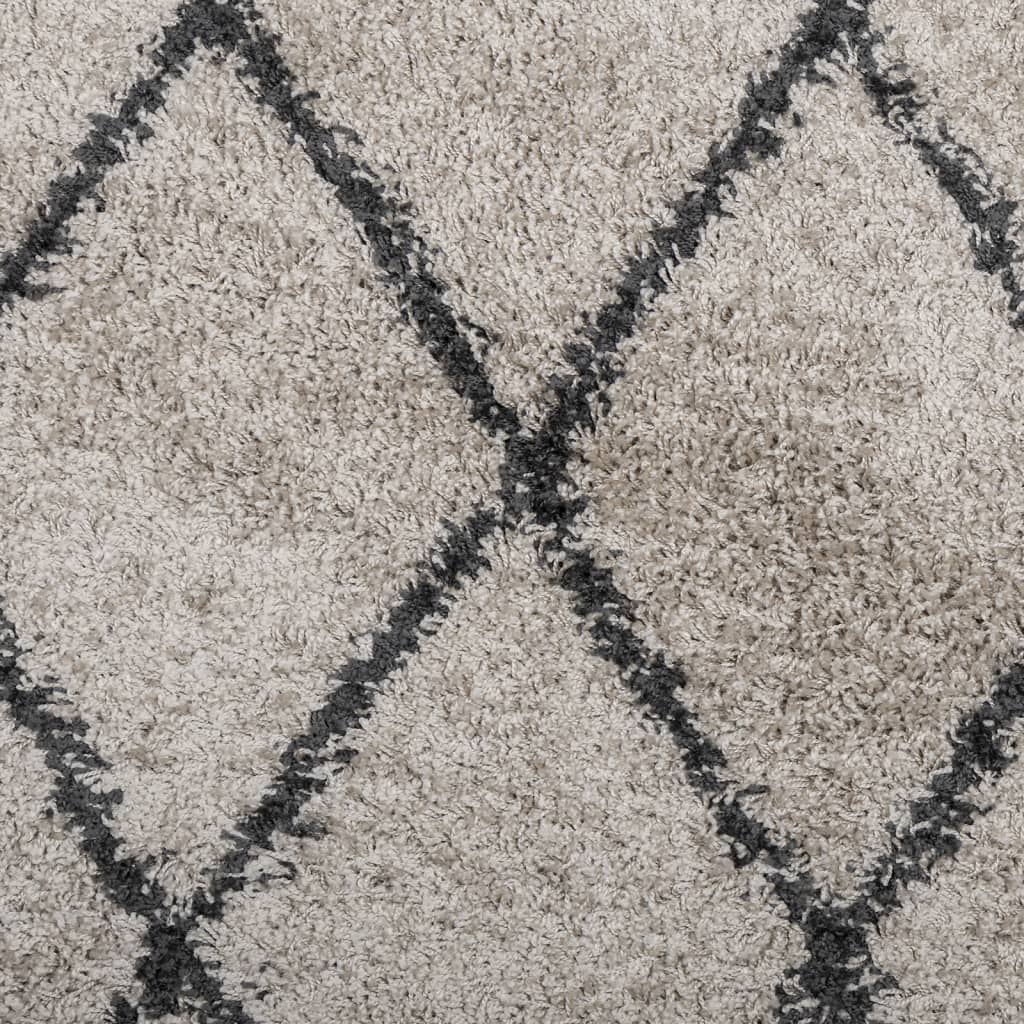 Carpet Shaggy Deep Pile Modern Beige and Anthracite 160x160 cm
