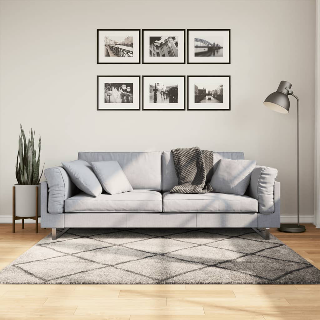Carpet Shaggy Deep Pile Modern Beige and Anthracite 160x160 cm