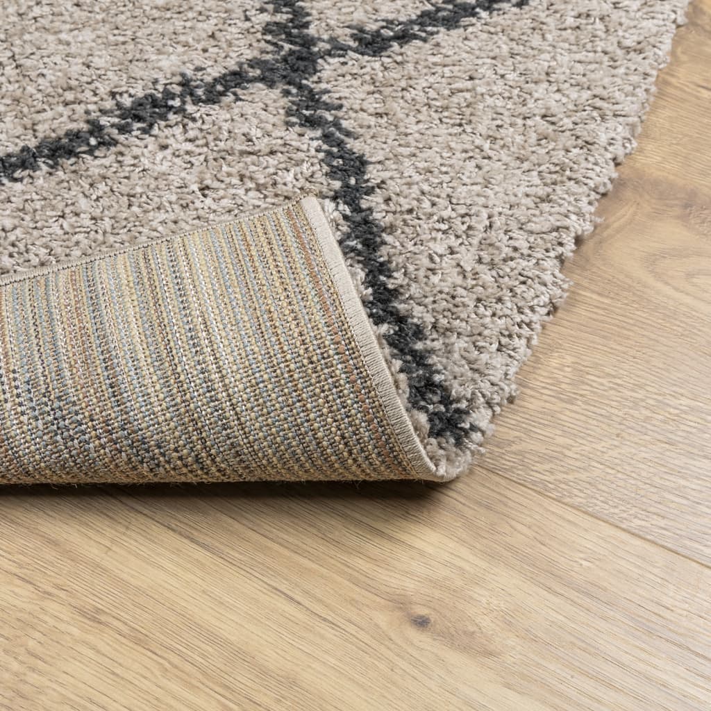 Carpet Shaggy Deep Pile Modern Beige and Anthracite 160x230 cm