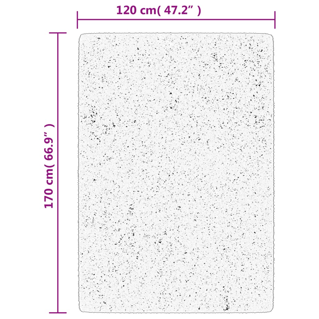 Carpet ISTAN Deep Pile Glossy Anthracite 120x170 cm