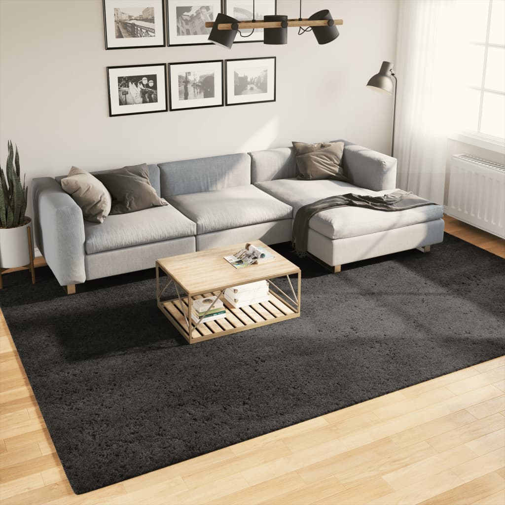 Carpet ISTAN Deep Pile Glossy Anthracite 240x340 cm