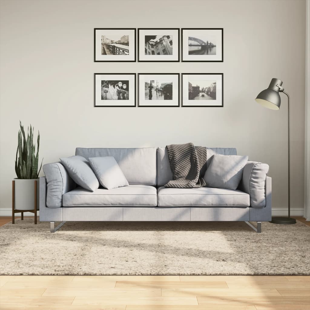 Carpet ISTAN Deep Pile Glossy Beige 160x230 cm