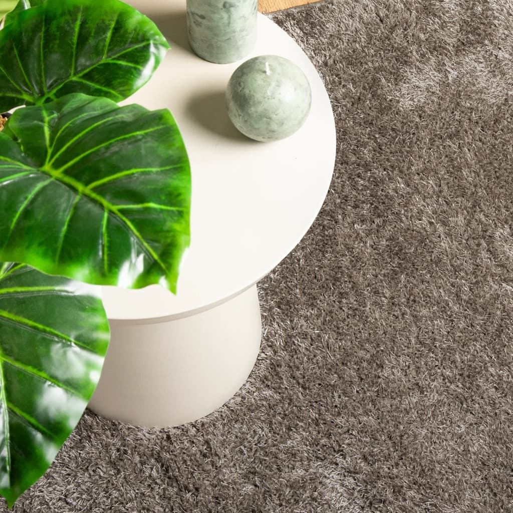 Carpet ISTAN Deep Pile Glossy Grey 120x170 cm
