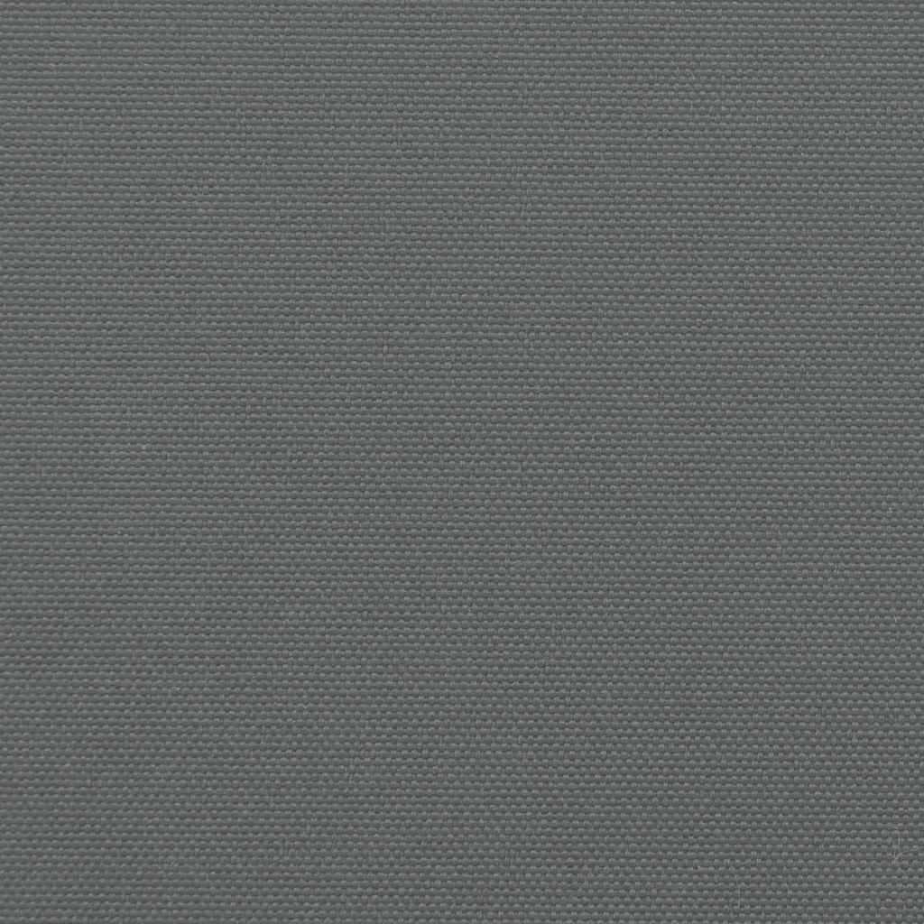 Seitenmarkise Ausziehbar Anthrazit 100x600 cm