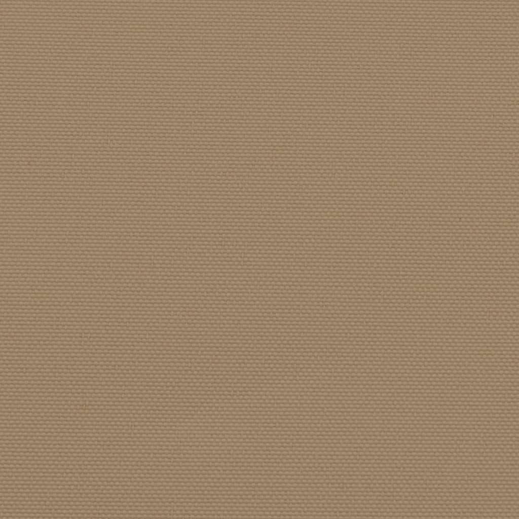 Seitenmarkise Ausziehbar Taupe 100x1000 cm