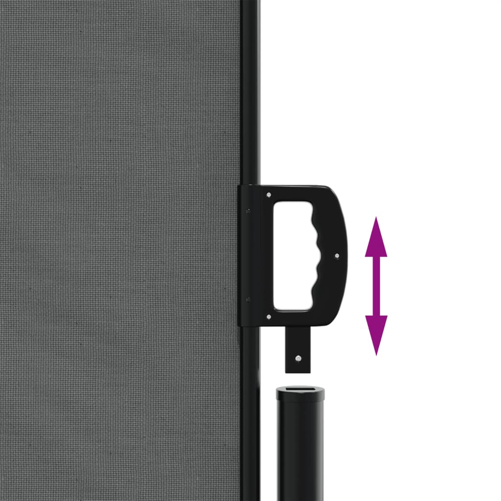 Side Awning Extendable Anthracite 160x1200 cm
