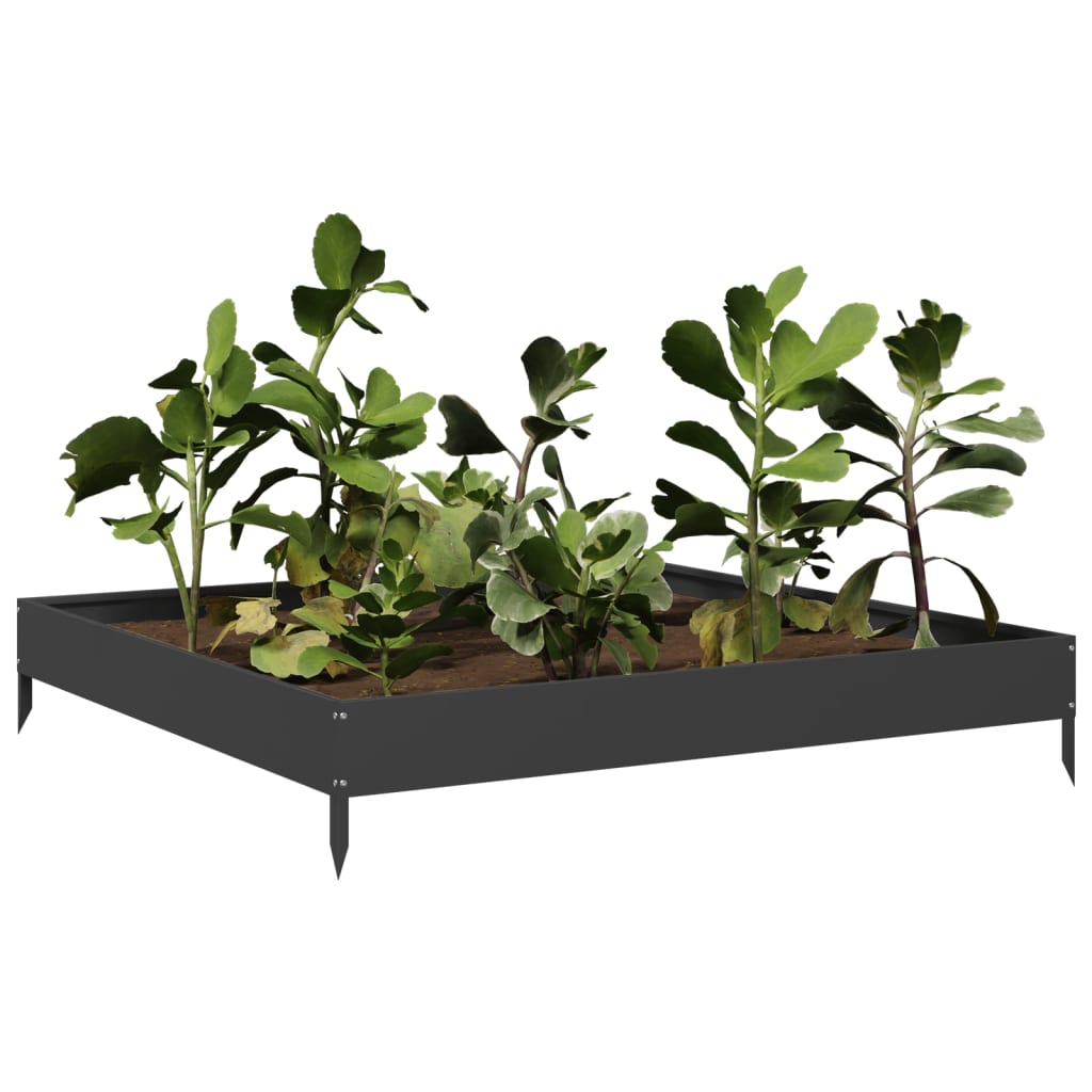 Raised Bed Black 100x100x18.5 cm Steel
