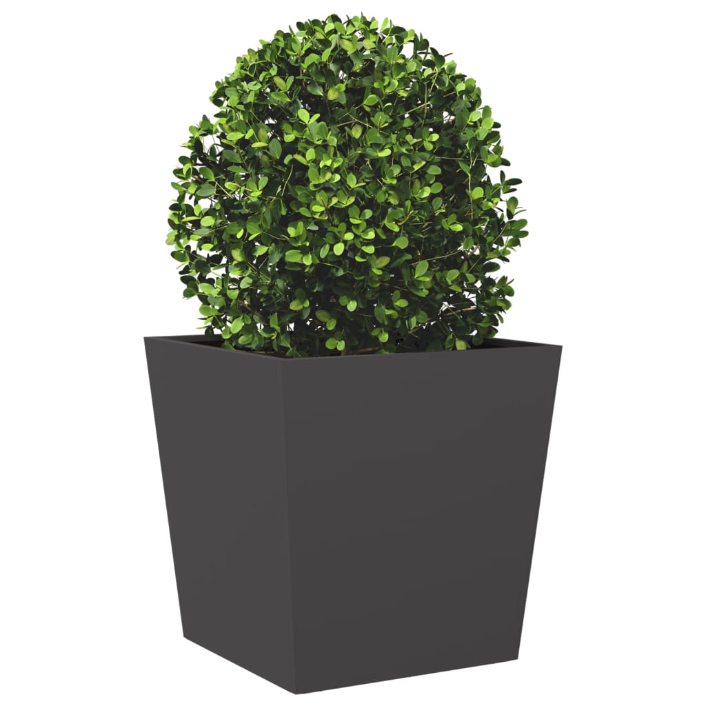 Plant Pot 2 Pcs Black 50x50x50 cm Steel