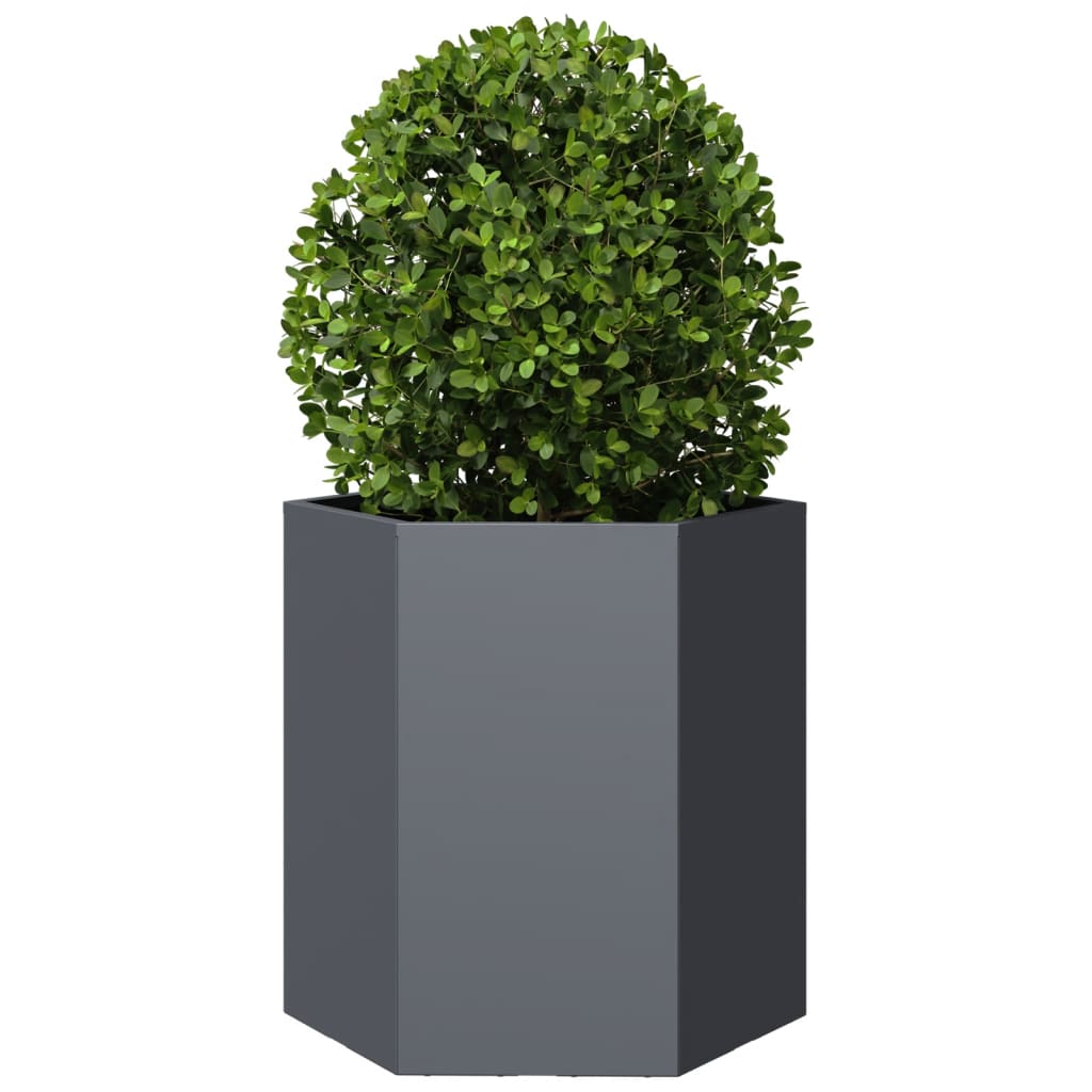 Garden Planters 2 Pieces Anthracite Hexagonal 46x40x45 Steel