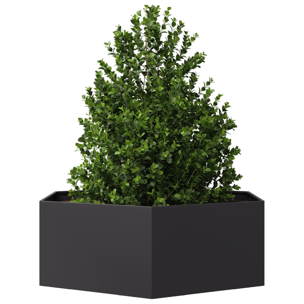 Plant Pot Black Hexagonal 138x120x45 Steel