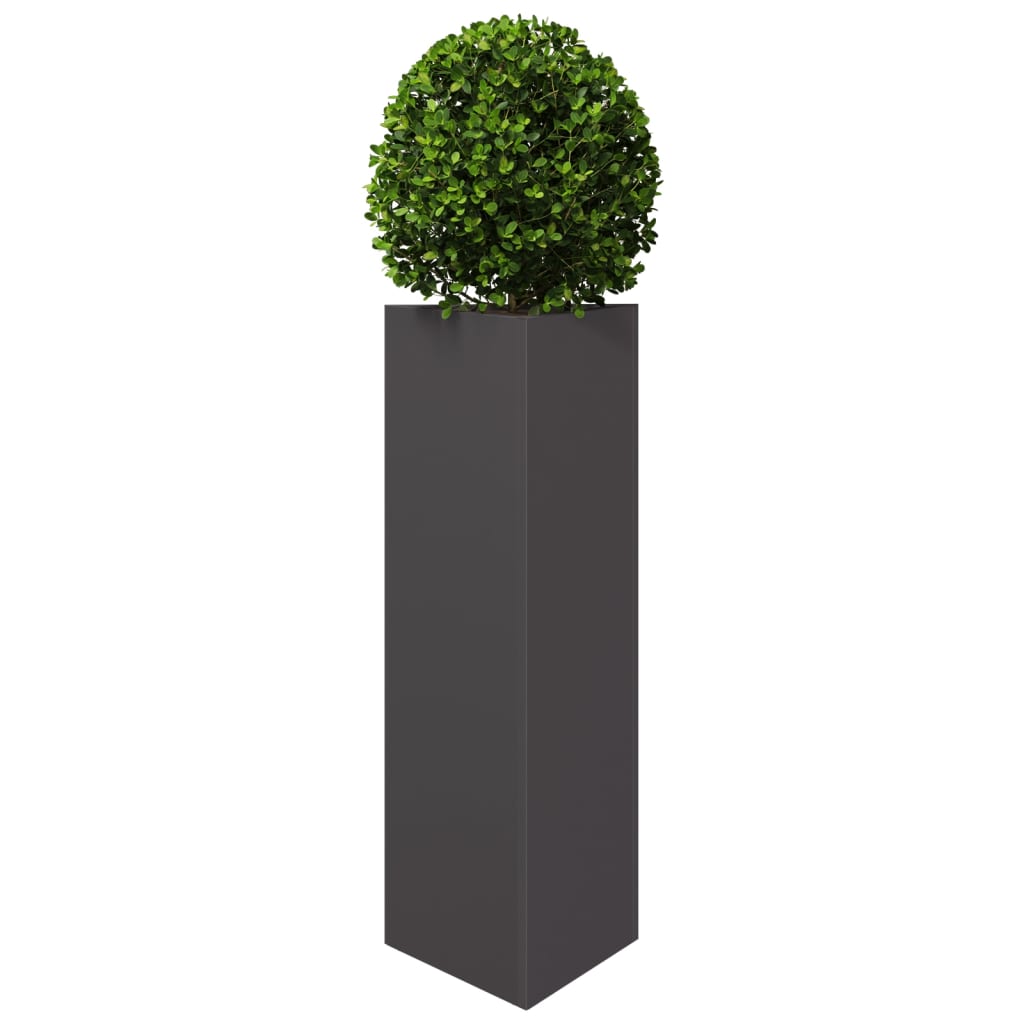 Plant Pot 2 Pcs Black Triangular 30x26x75 cm Steel