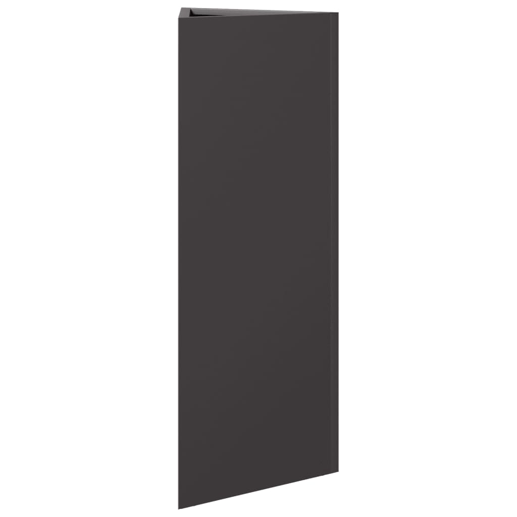 Plant Pot 2 Pcs Black Triangular 30x26x75 cm Steel