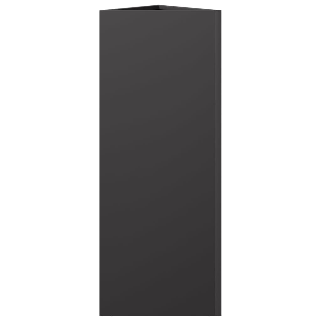 Plant Pot 2 Pcs Black Triangular 30x26x75 cm Steel