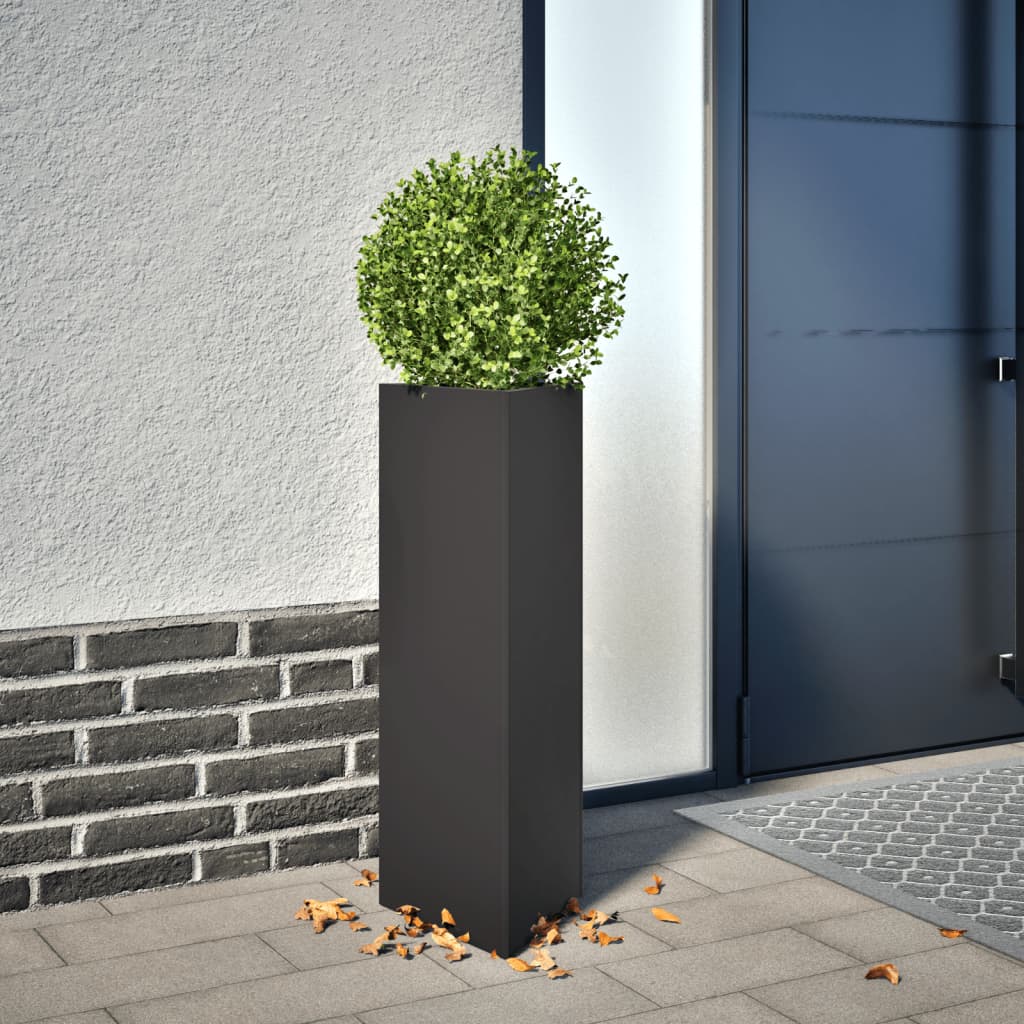 Plant Pot 2 Pcs Black Triangular 30x26x75 cm Steel