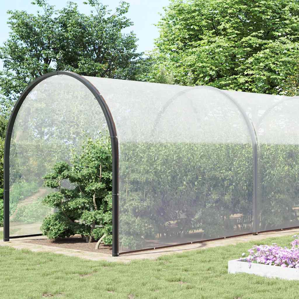 Transparente Plane mit Ösen 10x10 m Polyethylen