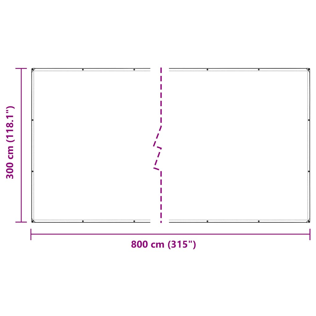 Transparent tarpaulin with eyelets 3x8 m PVC