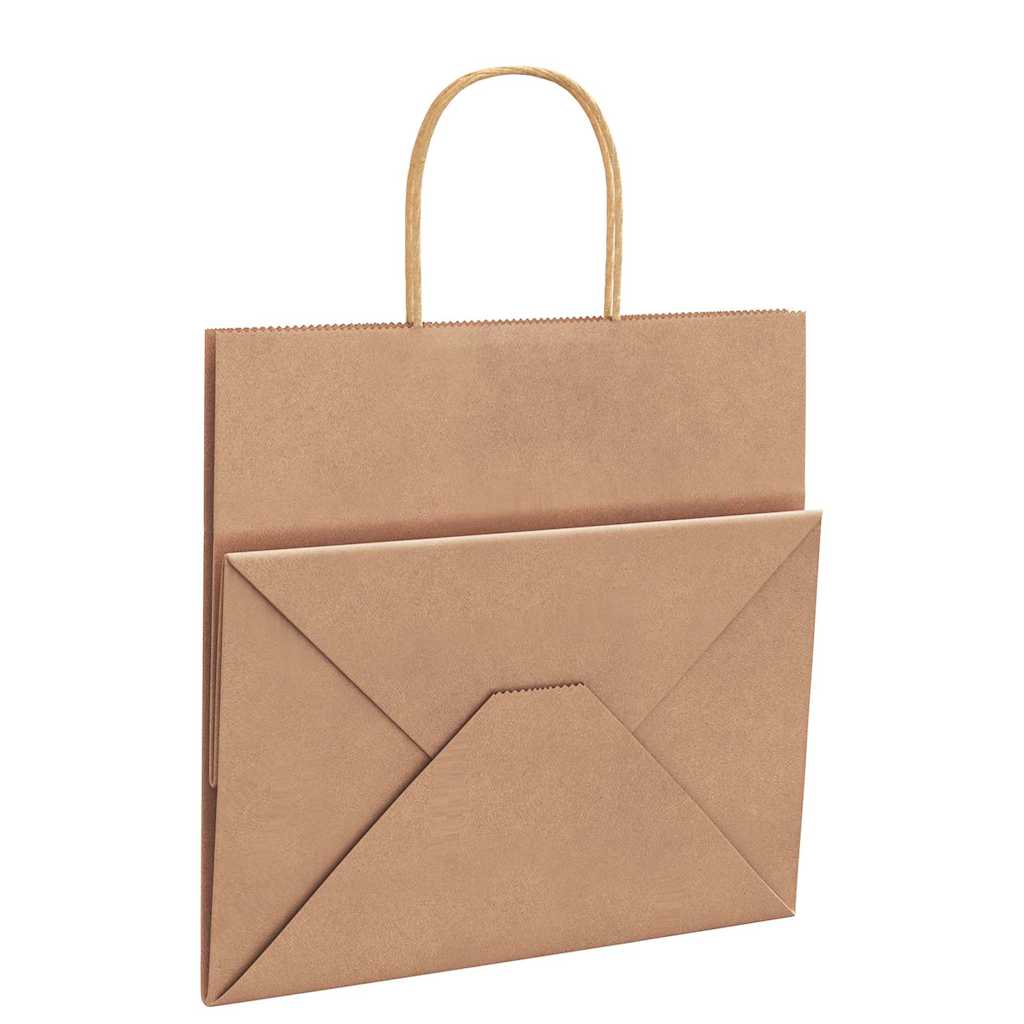 Papiertragetaschen 50 Stk. mit Henkeln Braun 26x17x25 cm