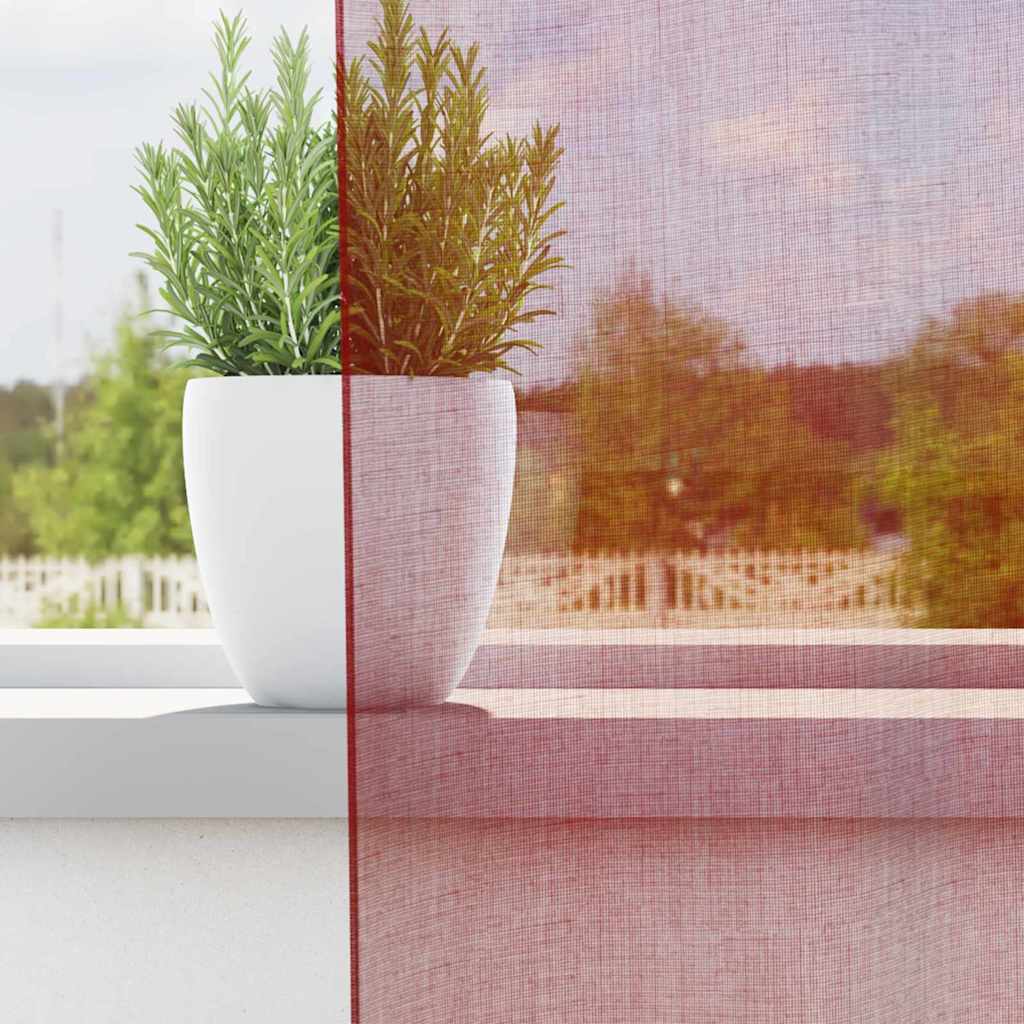 Voile curtains with loops, 2 pieces, wine red, 140 x 225 cm